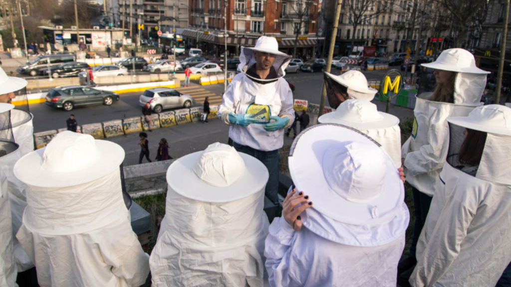 Se lancer dans l'apiculture urbaine