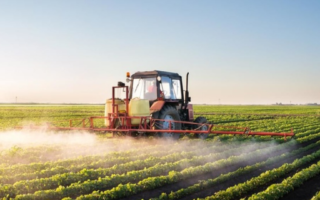 Impact des pesticides sur les abeilles
