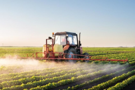 Impact des pesticides sur les abeilles