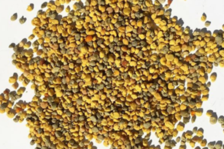 qu'est ce que le pollen