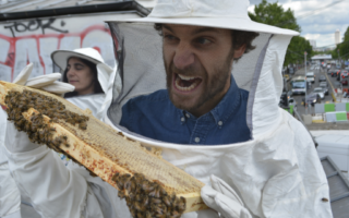 Comment devenir apiculteur urbain