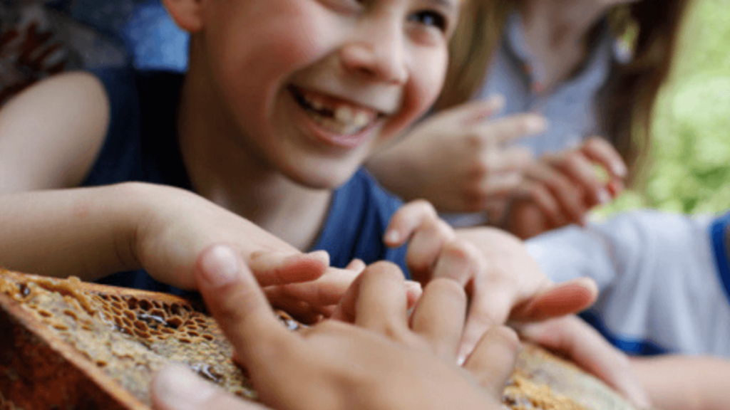 Expliquer les abeilles aux enfants