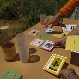 Atelier: Découverte de la nature en ville