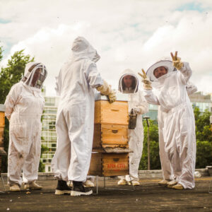 Bon cadeau pour une initiation à l’apiculture