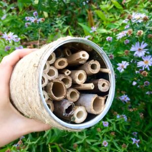 Construction d'un nichoir à abeilles sauvages